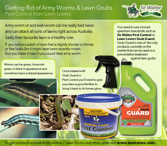 How do you control armyworms?