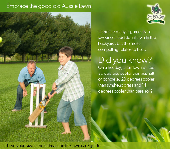 Embrace the humble Aussie Lawn 