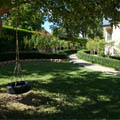 Autumn Lawn care