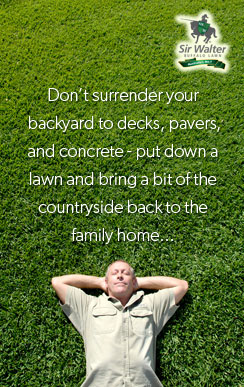 Don’t surrender your   backyard to decks, pavers, and concrete - put down a lawn and bring a bit of the countryside back to the family home...