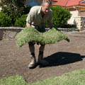 Lawn installation and laying