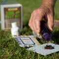 Lawn maintenance checking the pH of your lawn